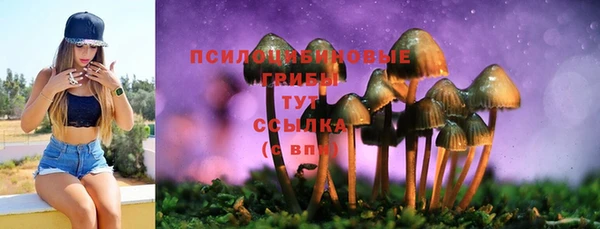 бошки Гусиноозёрск