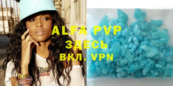 apvp Гусев