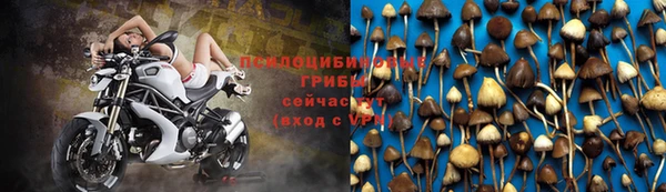 гашишное масло Горнозаводск
