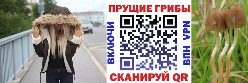 Галлюциногенные грибы MAGIC MUSHROOMS  Каменск-Уральский 